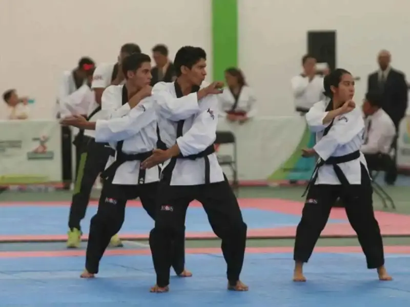 Un total de 13 taekwondoínes michoacanos aseguraron su pase a la Olimpiada Nacional 2016 en la modalidad de formas, tras destacar en el selectivo celebrado en Morelia