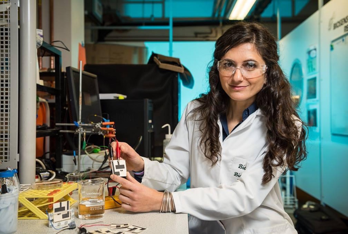 La batería en miniatura que transforma la orina en electricidad