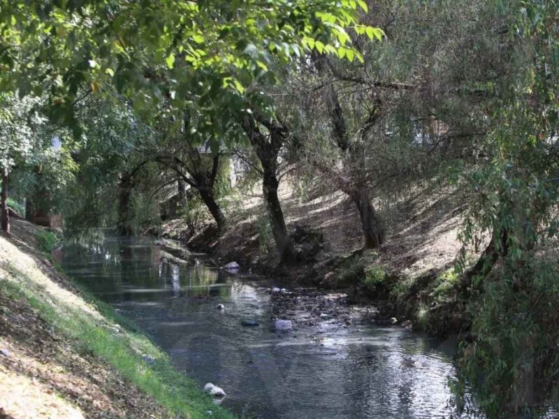 El ayuntamiento de Morelia, encabezado por Alfonso Martínez, asegura la conservación de árboles en el Río Chiquito durante la construcción del Parque Lineal y mejoramiento urbano