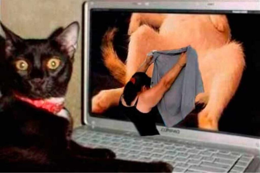 Los memes de Lady Cajero arrasan en redes sociales después de que su reacción frente a un cajero automático se hiciera viral; los usuarios no dejaron pasar el momento 5