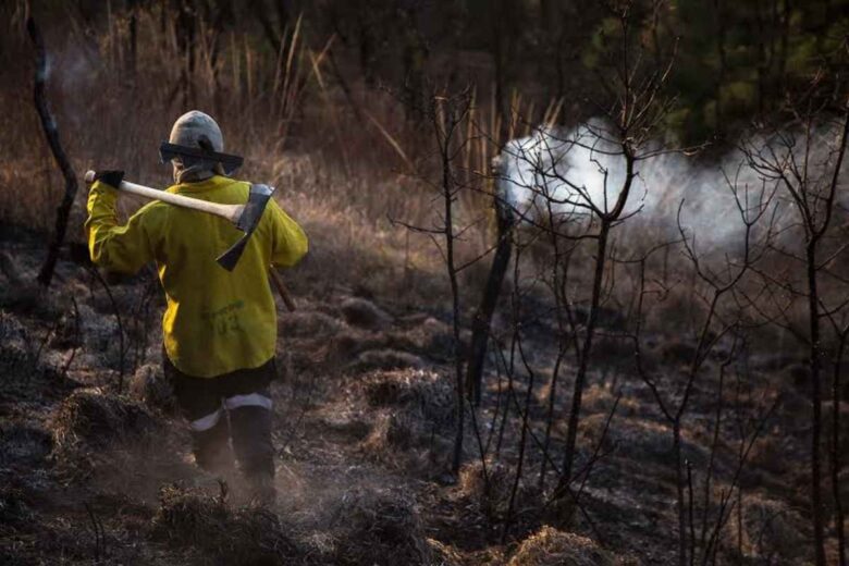 Diputado del PRI solicita veda de 40 años a tierras incendiadas en Michoacán para evitar cambio de uso de suelo a cultivos de aguacate y otros fines agrícolas ilegales