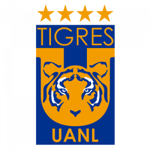 tigres 1