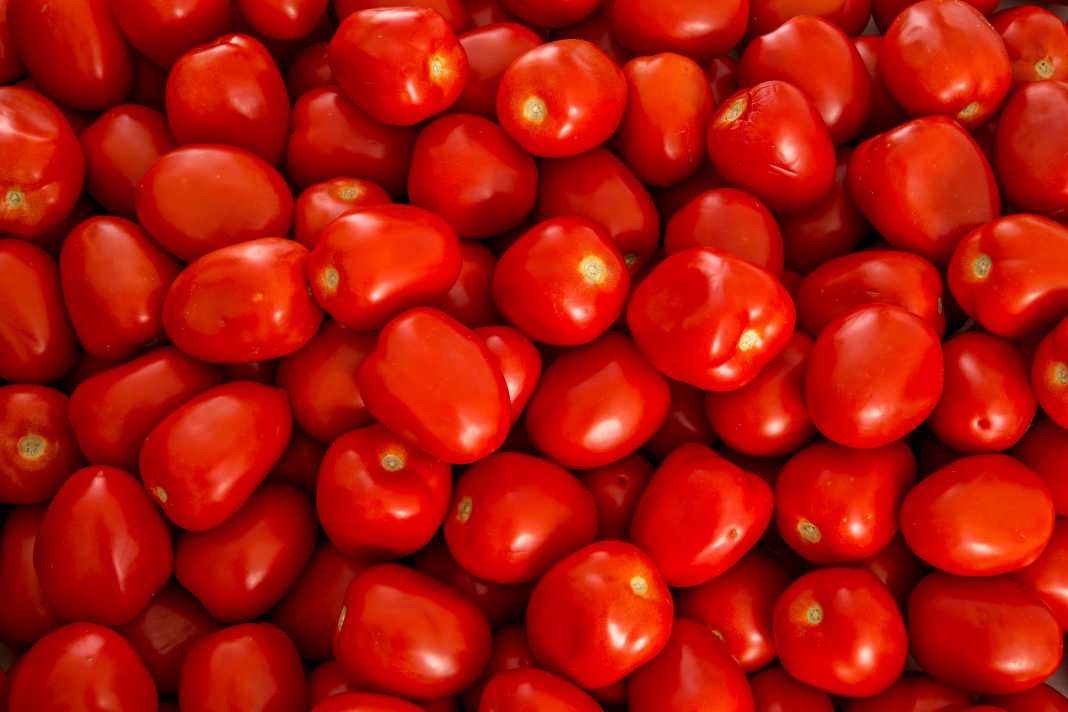 Suspenderá EU aranceles al tomate de México