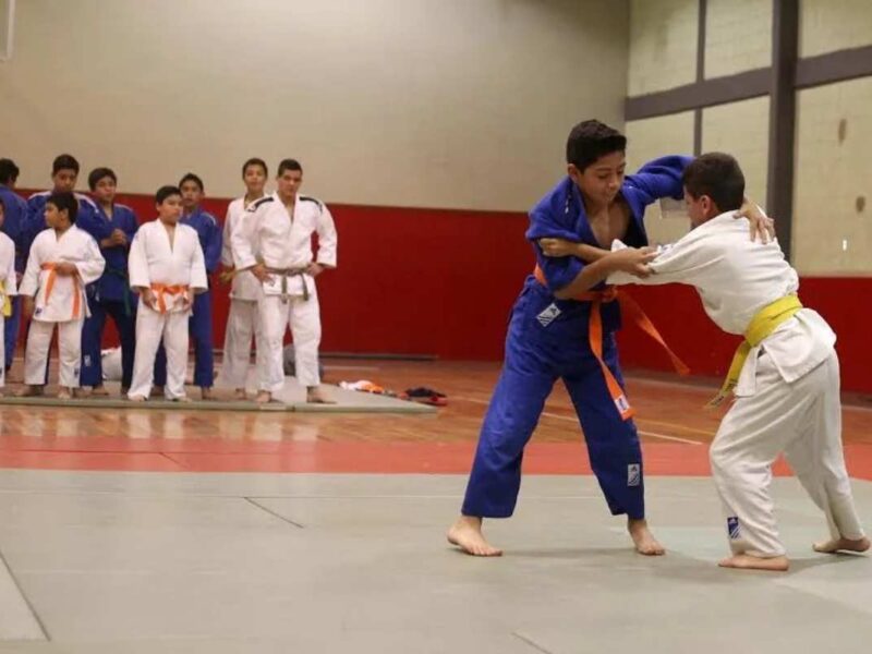 La Selección Michoacana de Judo quedó con 12 competidores que buscarán su pase a la Olimpiada Nacional y al Campeonato Nacional Juvenil 2017. 1