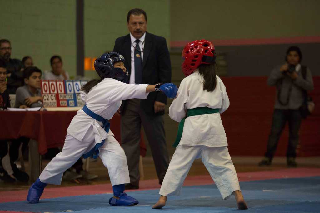 La selección de karate de Michoacán suma 29 atletas clasificados al preselectivo nacional, con presencia en kata y kumite femenil y varonil rumbo a la Olimpiada 2017 2