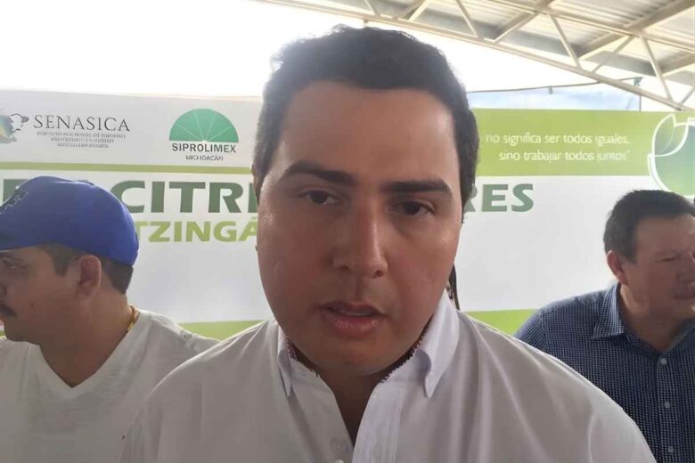 Un total de mil 25 productores de limón en Michoacán, apoyados por la ACVA, han sido capacitados para obtener certificaciones internacionales que mejoren la producción y exportación del cítrico