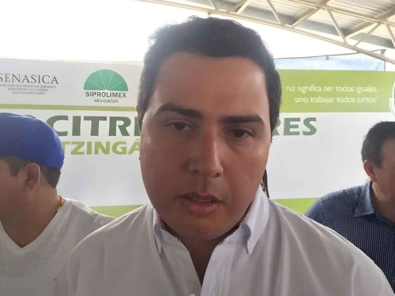 Un total de mil 25 productores de limón en Michoacán, apoyados por la ACVA, han sido capacitados para obtener certificaciones internacionales que mejoren la producción y exportación del cítrico