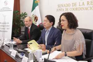 foto: Senado de la República