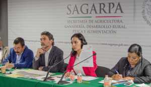 foto: SAGARPA