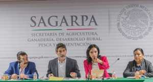 foto: SAGARPA