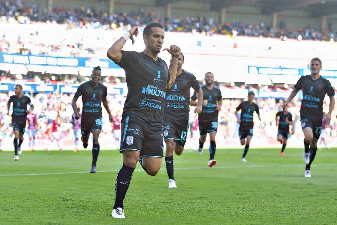 gallos