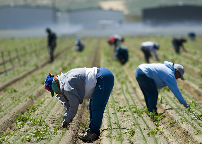 Buscan productores vincular proyectos exitosos con programa de impacto social