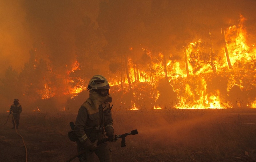 A la fecha Michoacán registra 339 incendios forestales