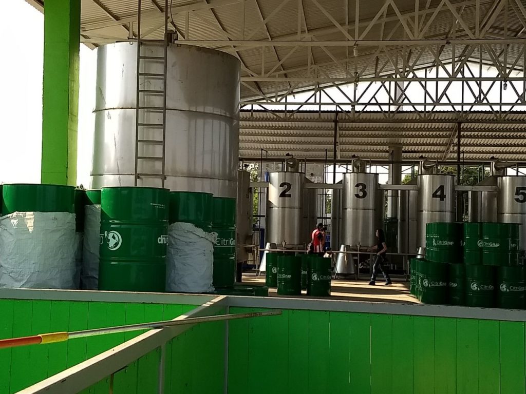 Producirá Michoacán aceite esencial