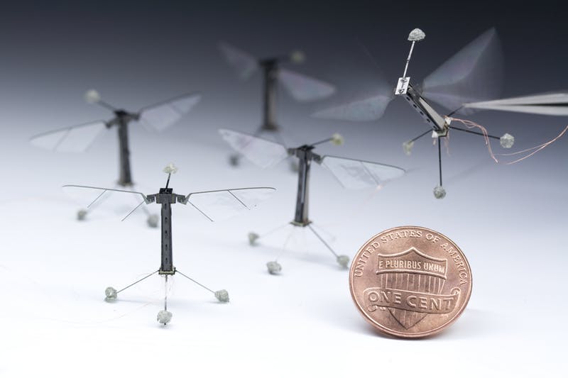 RoboBee, se comporta como un insecto