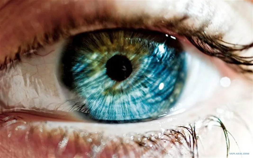 ¿Cuál es el secreto detrás de cada color de ojos?