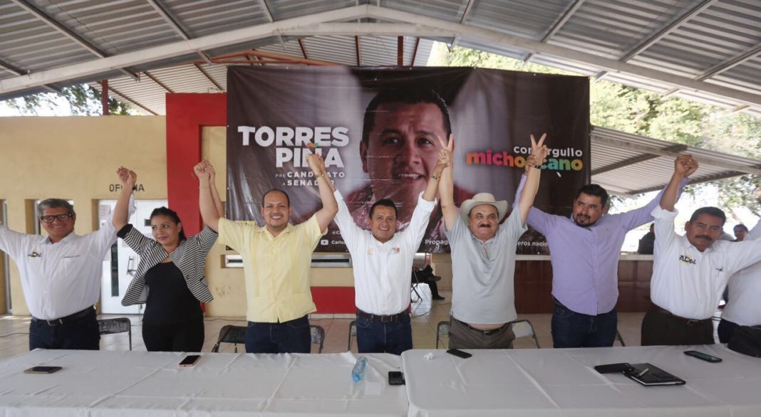 Tierra Caliente Nueva Izquierda refrenda apoyo a Torres Piña