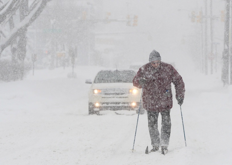 Prevén alza de hortalizas en EU por nevadas en Florida