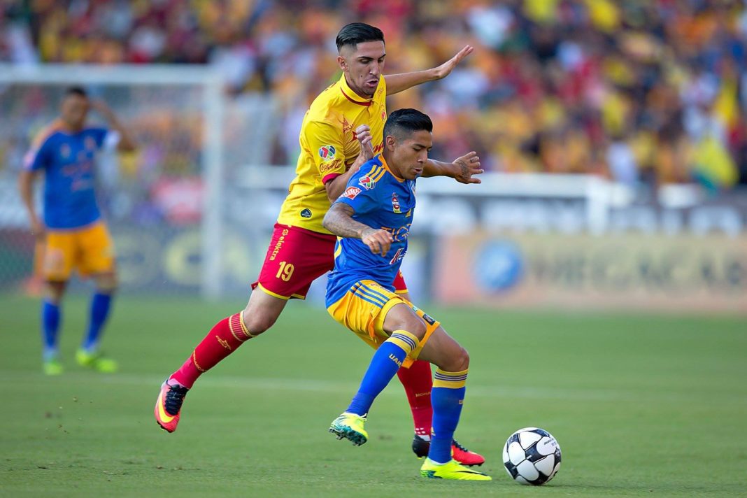 Monarcas no le teme a Tigres