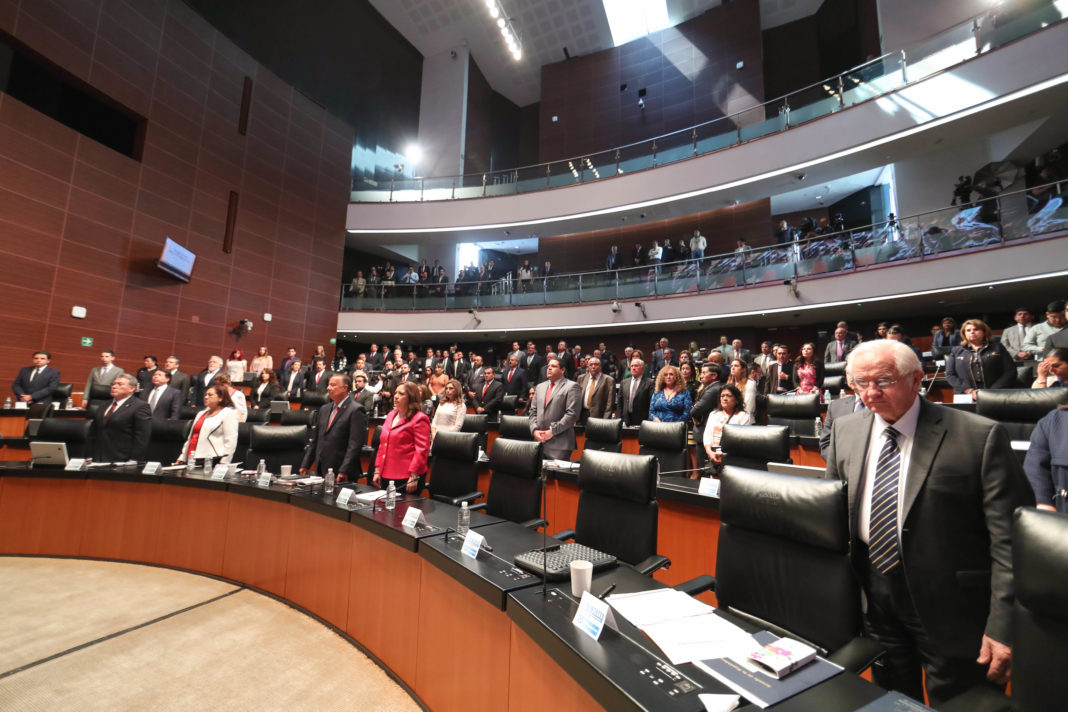 Elige Senado a Rosario Piedra Ibarra como nueva titular de la CNDH