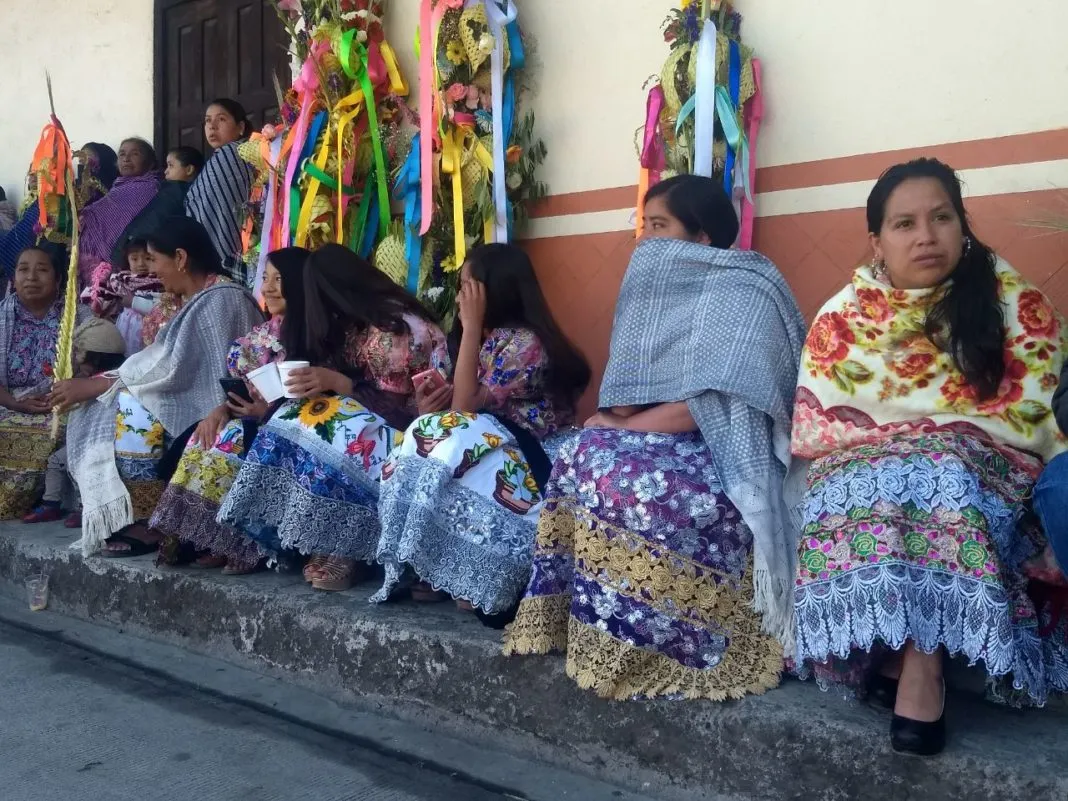 Las palmas, una tradición milenaria en San Lorenzo