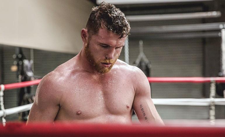 Canelo Álvarez a una pelea de tener 4 títulos de peso Medio