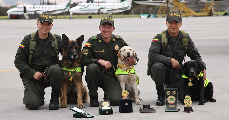 La Policía Nacional de Colombia, informó que los detenidos proveían de la documentación necesaria para que los aviones salieran rumbo a Centroamérica