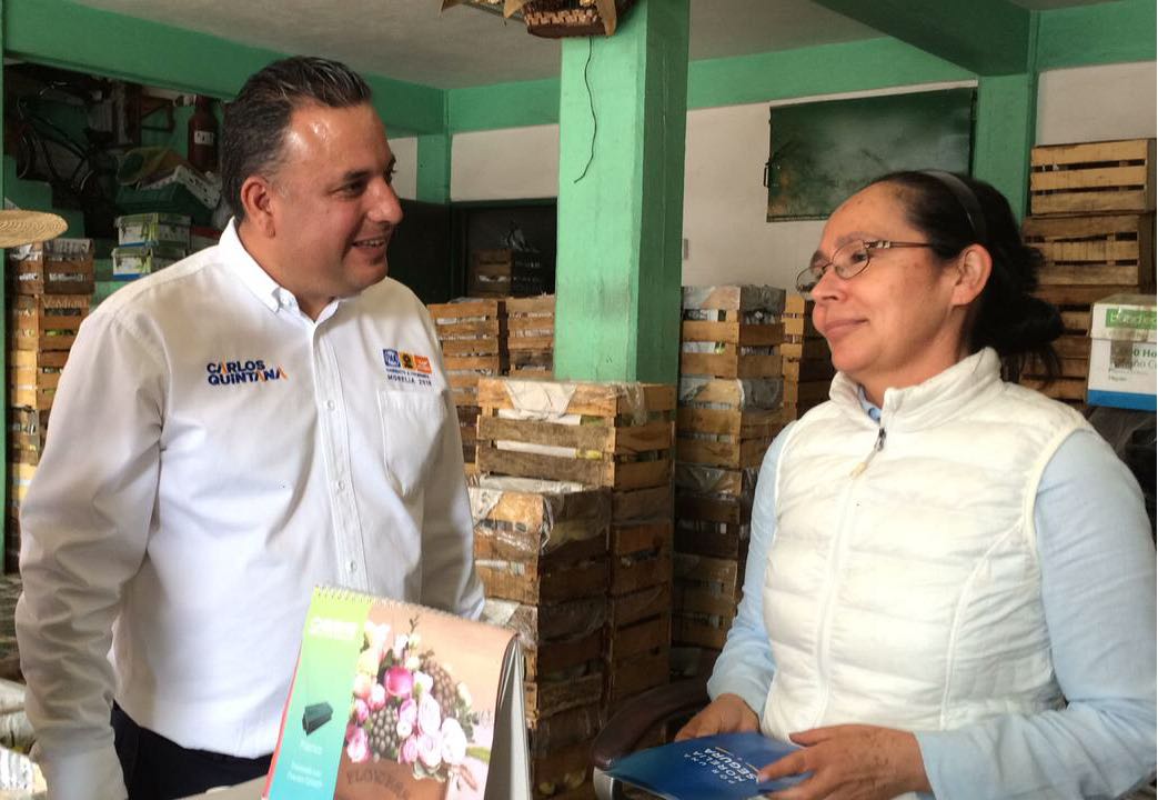 Urge modernizar Mercado de Abastos: Quintana