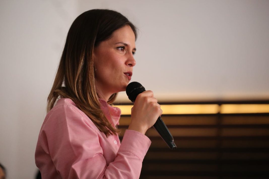 Partidos e independientes han quedado a deber: Daniela