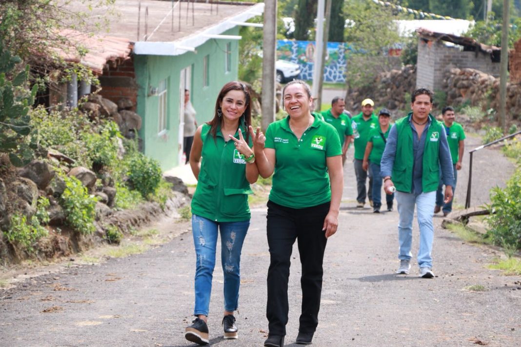 Michoacanos no están solos, tienen el respaldo de los candidatos del PVEM: Marx Aguirre