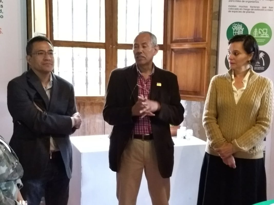 Concientizan a la población con la exposición "Plantas: riqueza natural"