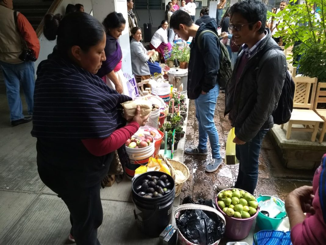 A través del trueque, la UMSNH prumueve las tradiciones de las localidades del estado