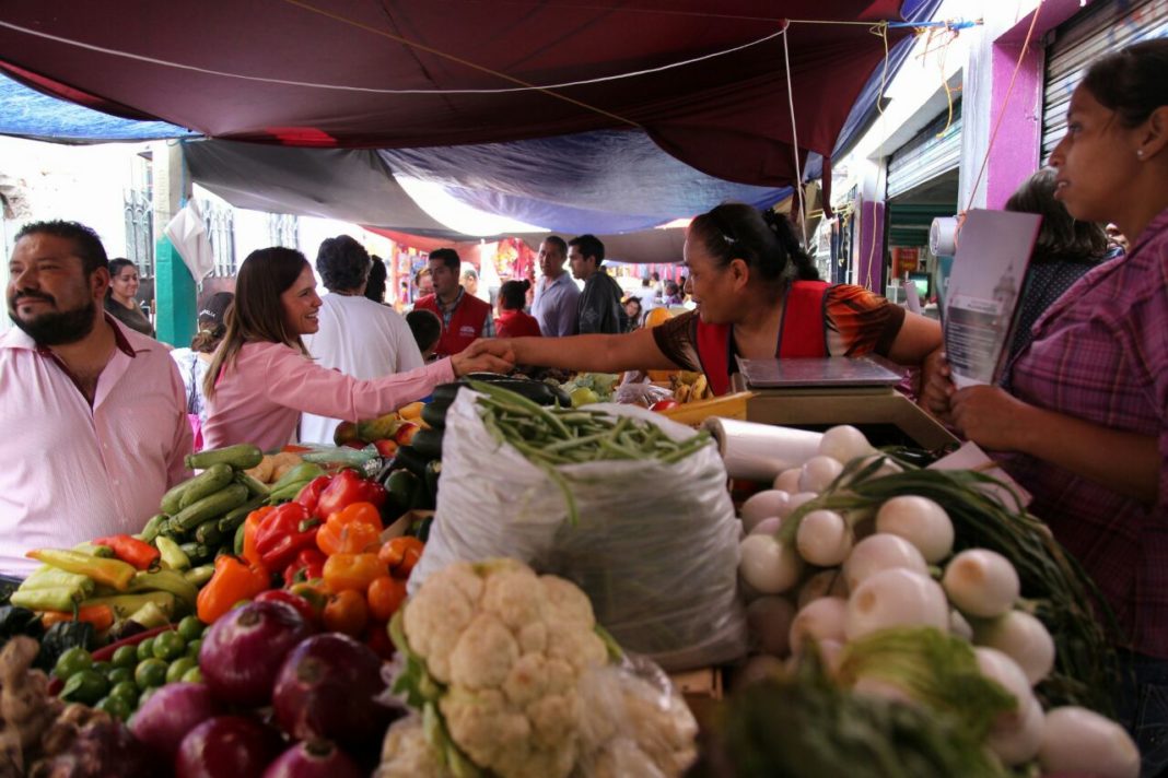 Seguridad para comerciantes exige el sector: Daniela de los Santos