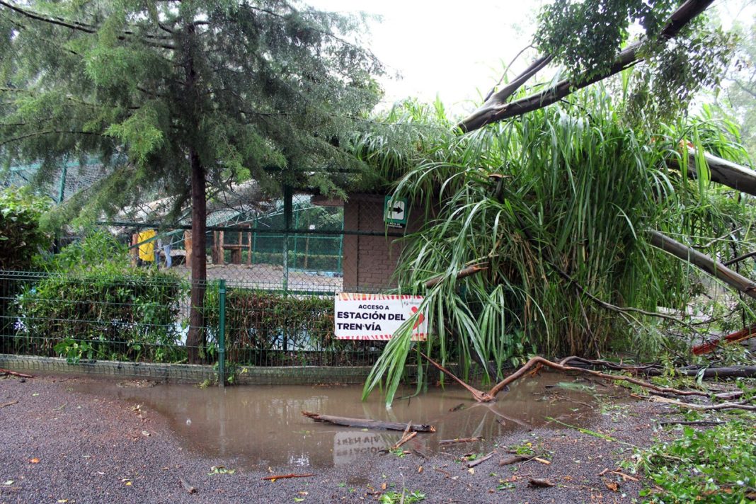 Sin riesgos, fauna del Parque Zoológico ante intensas lluvias