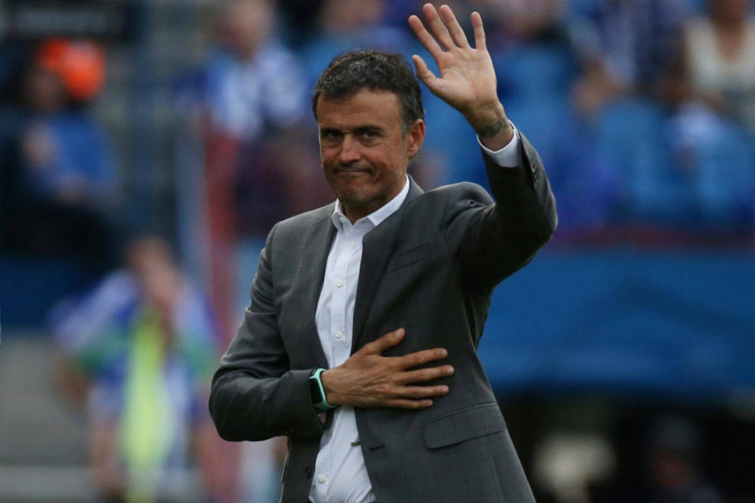 Luis Enrique, nuevo técnico de España