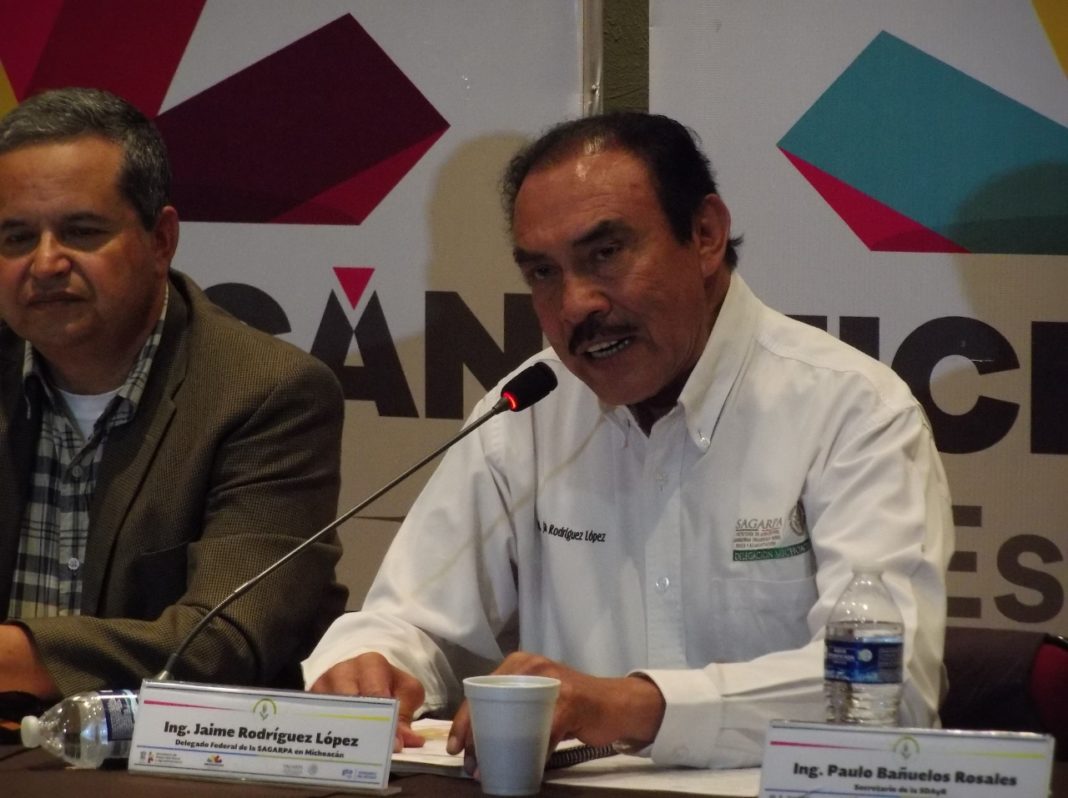 Será complicado el federalismo en México: Jaime Rodríguez
