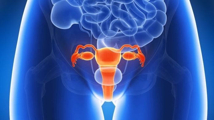 cancer-cuello-utero_557e6bd48bf33095634f6c82f7bb6122242b2203 Fallecen 4 mil mujeres al año por cáncer de cuello de útero