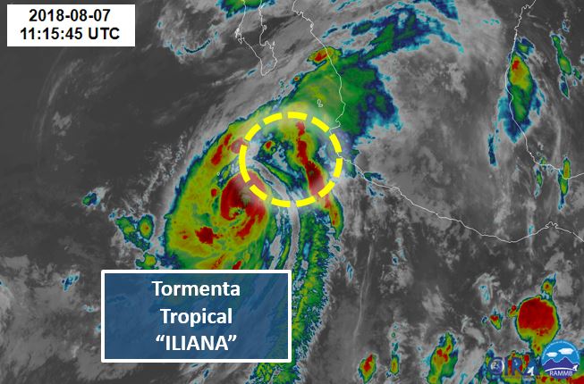 Absorberá tormenta huracán John a la tormenta tropical Ileana