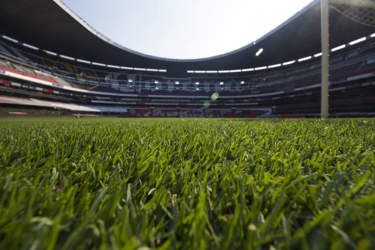 El césped del estadio azteca está con un 80% de mejora