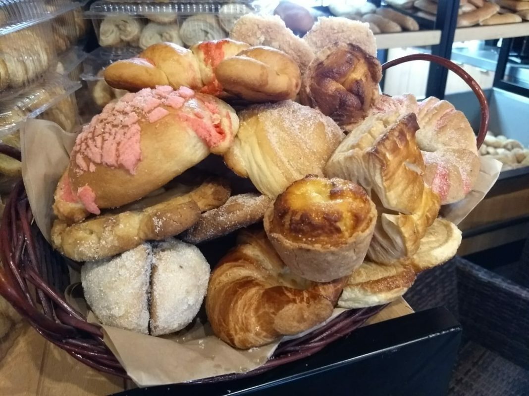 Conchas y pan de muerto, los protagonistas de la 17° Feria del Pan Tradicional