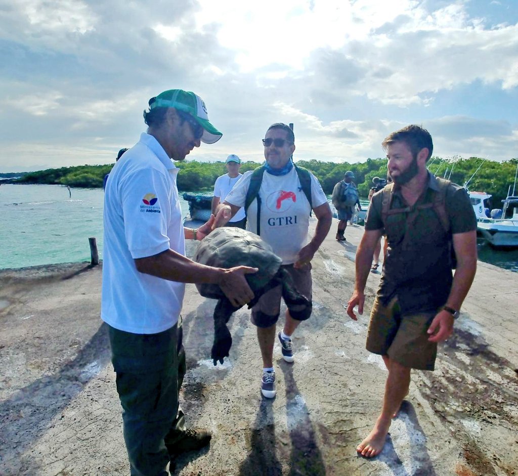 Localizan tortuga que se creía extinta desde hace 100 años