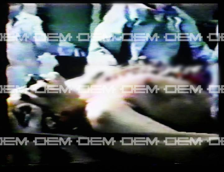 Revelan video de la autopsia de Luis Donaldo Colosio