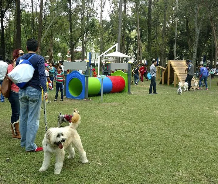 FUCIDIM buscará crear parques caninos en Morelia