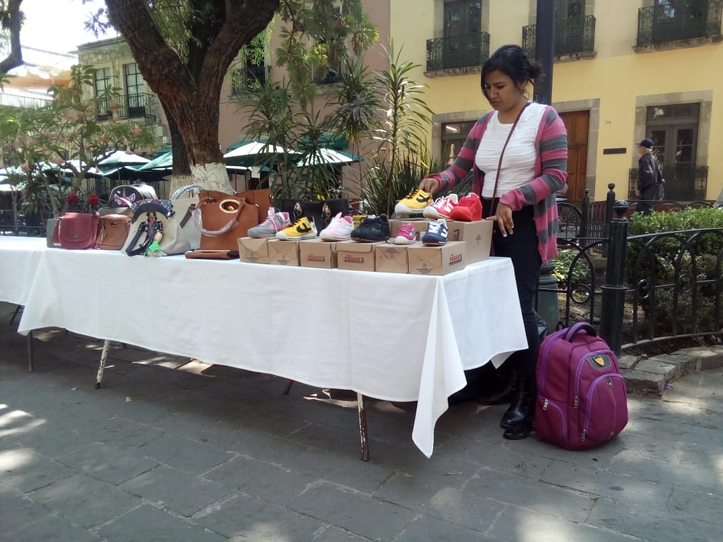 15 productores con discapacidad presentes en el Tianguis Inclusivo de IMCED