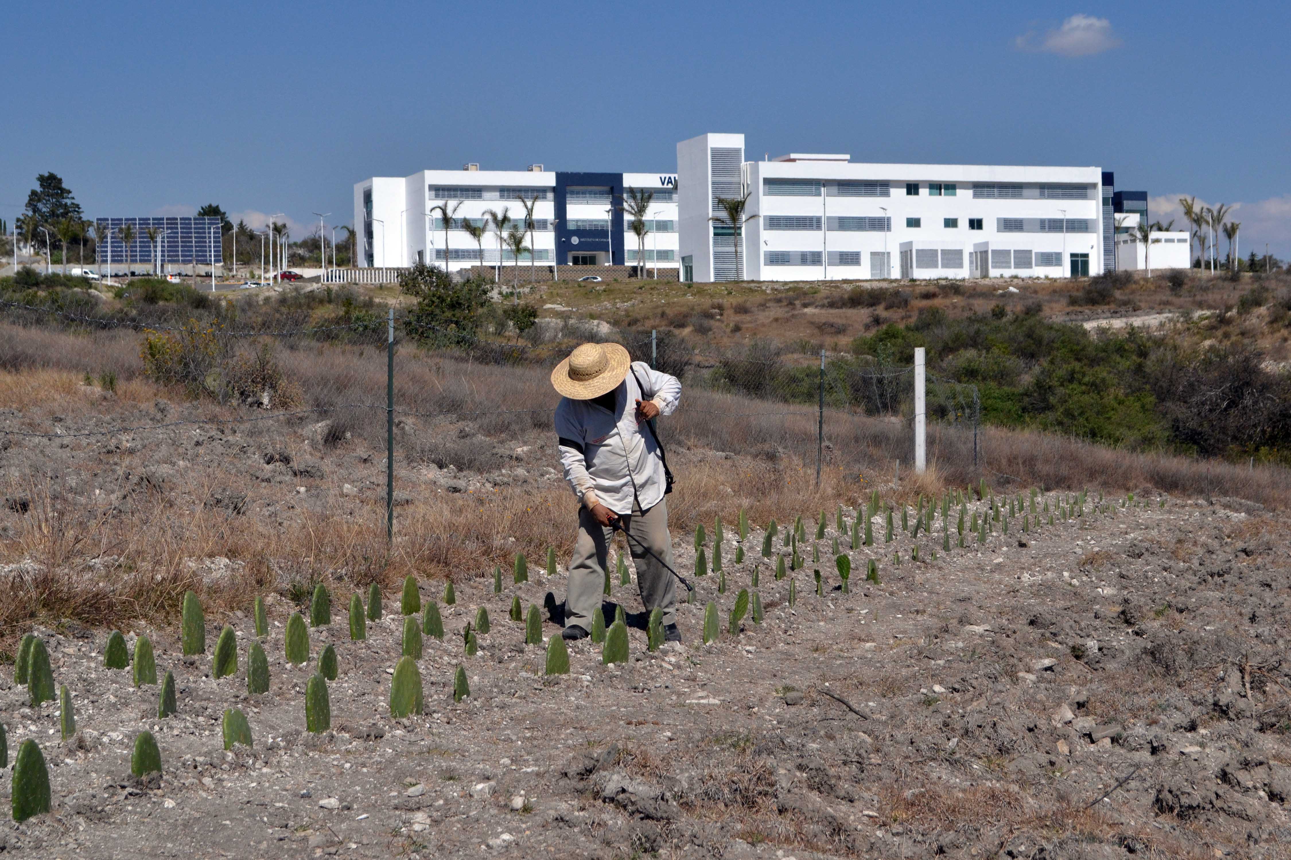 Usan en México tecnología agroecológica para combatir plagas