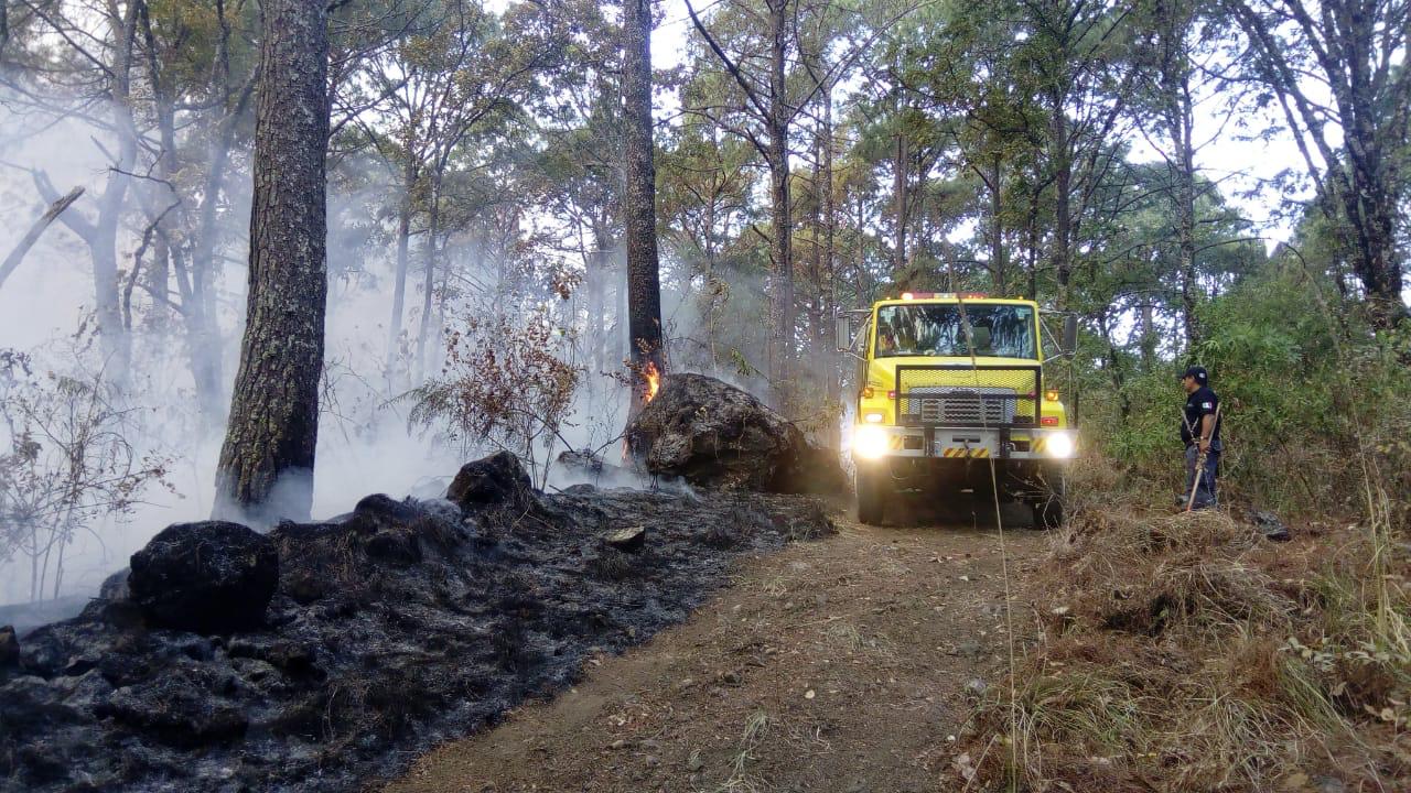 Atienden incendio en el Parque Nacional de Uruapan