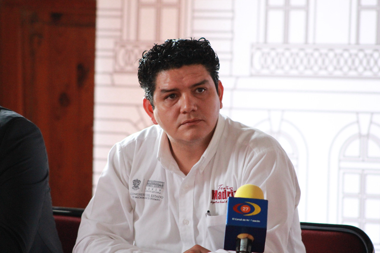 Aceptaría Madriz remoción en presidencia del Congreso de Michoacán
