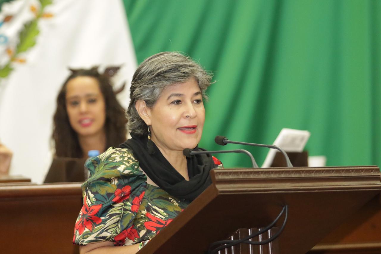 Lucila Martínez se apropia del trabajo realizado por la Comisión de Desarrollo Sustentable: Mayela Salas