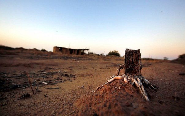 Según ONU, el planeta podría ser inhabitable en 2050