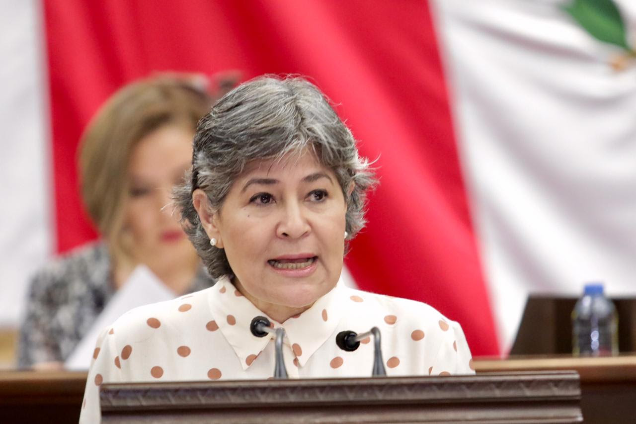 Quienes infringen las leyes en materia vial tendrán sanciones más severas: Mayela Salas